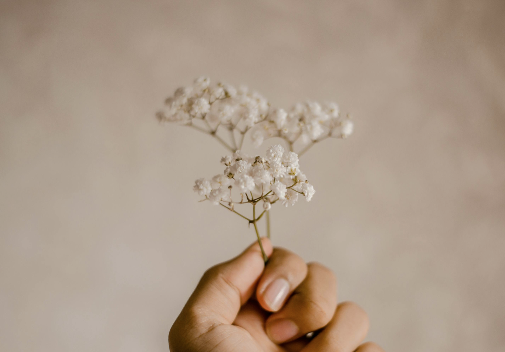 Capture d’écran 2025-08-04 à 15.14.24